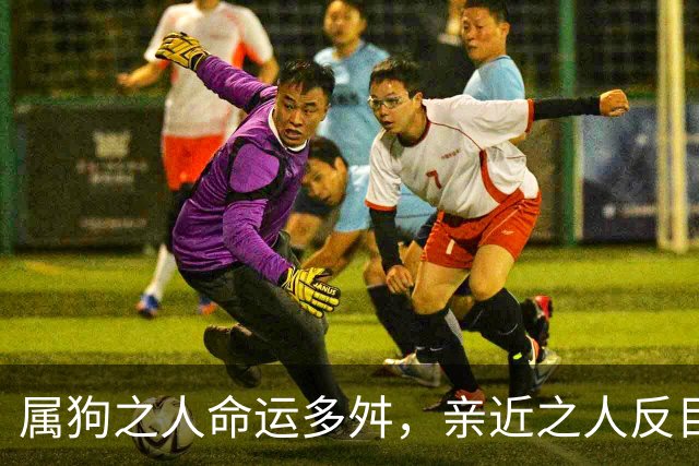 属狗之人命运多舛，亲近之人反目相逢难解怨