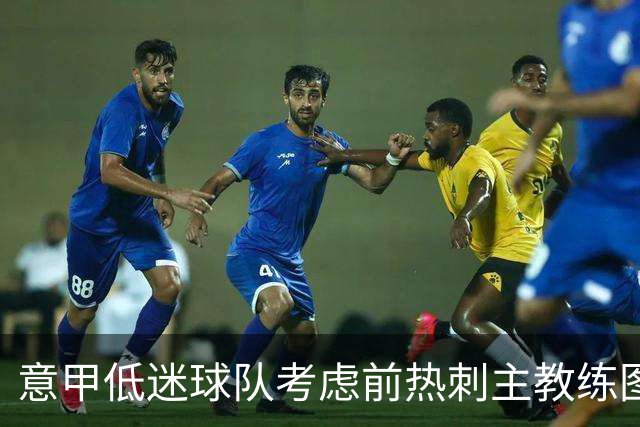 意甲低迷球队考虑前热刺主教练图多尔复职